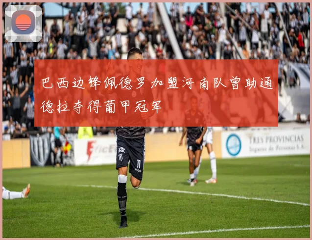 巴西边锋佩德罗加盟河南队曾助通德拉夺得葡甲冠军